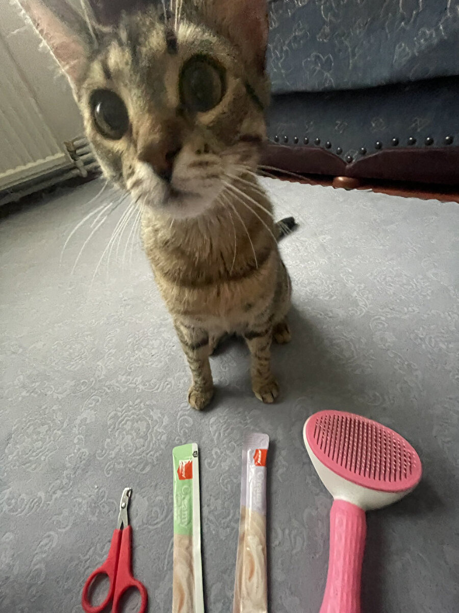 Her seferinde bu tuzağa düşmeleri