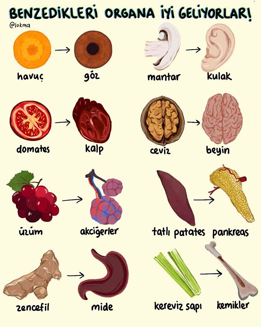 Benzedikleri organa iyi geliyorlar