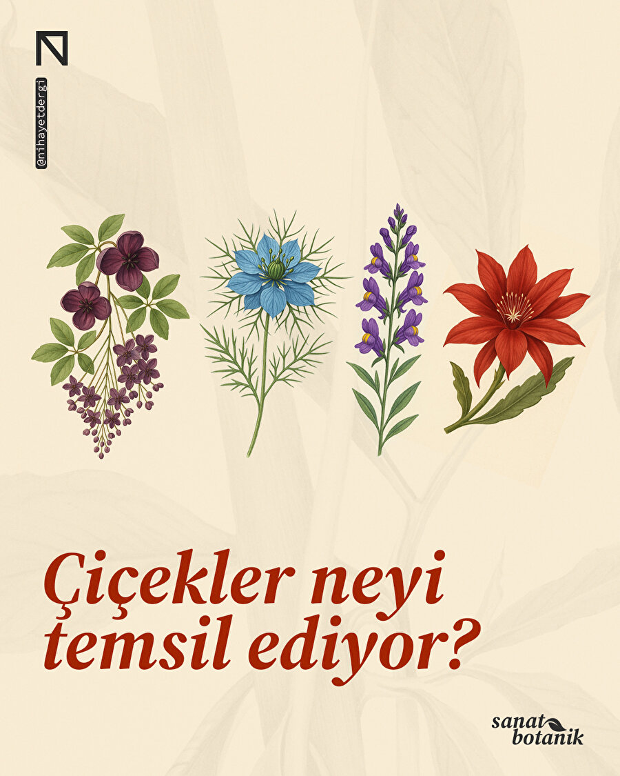 Çiçekler neyi temsil ediyor