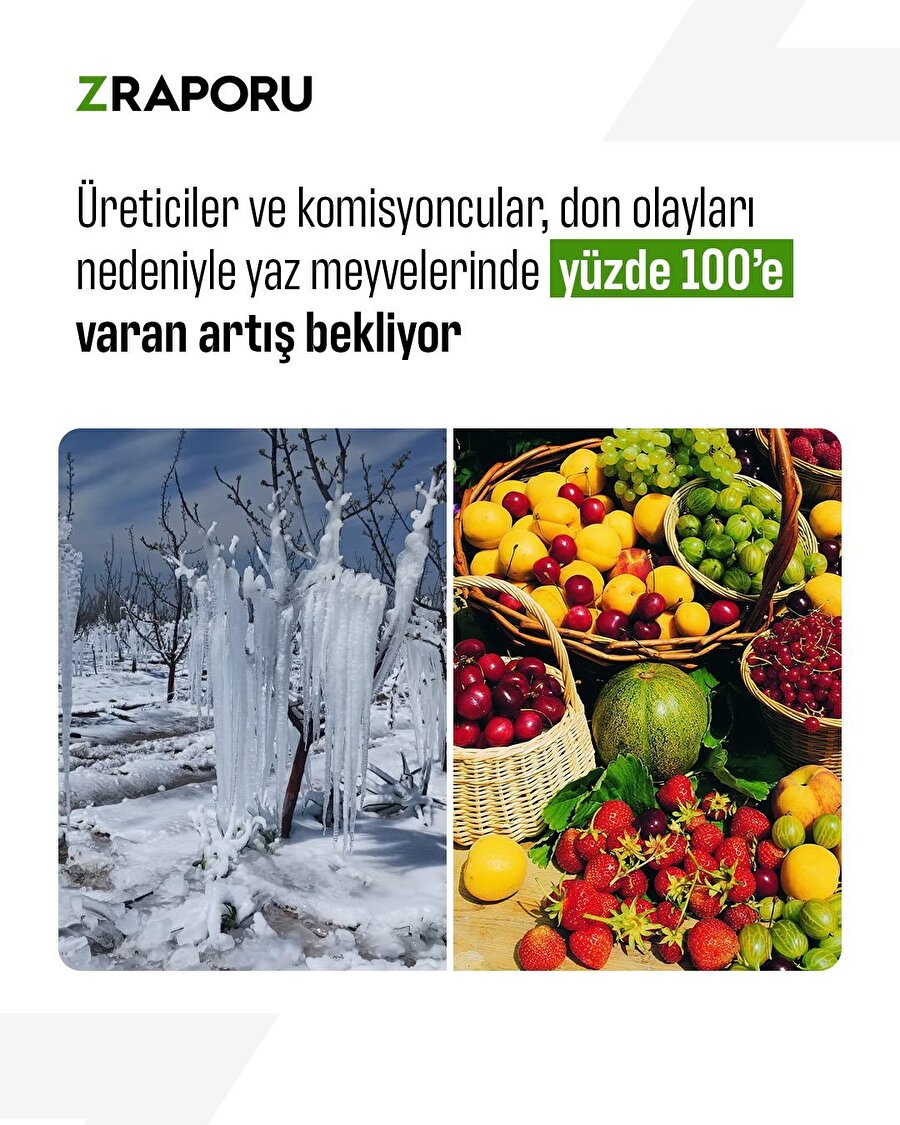 Don olayları nedeniyle yaz meyvelerinin fiyatlarında %100'e varan artış bekleniyor