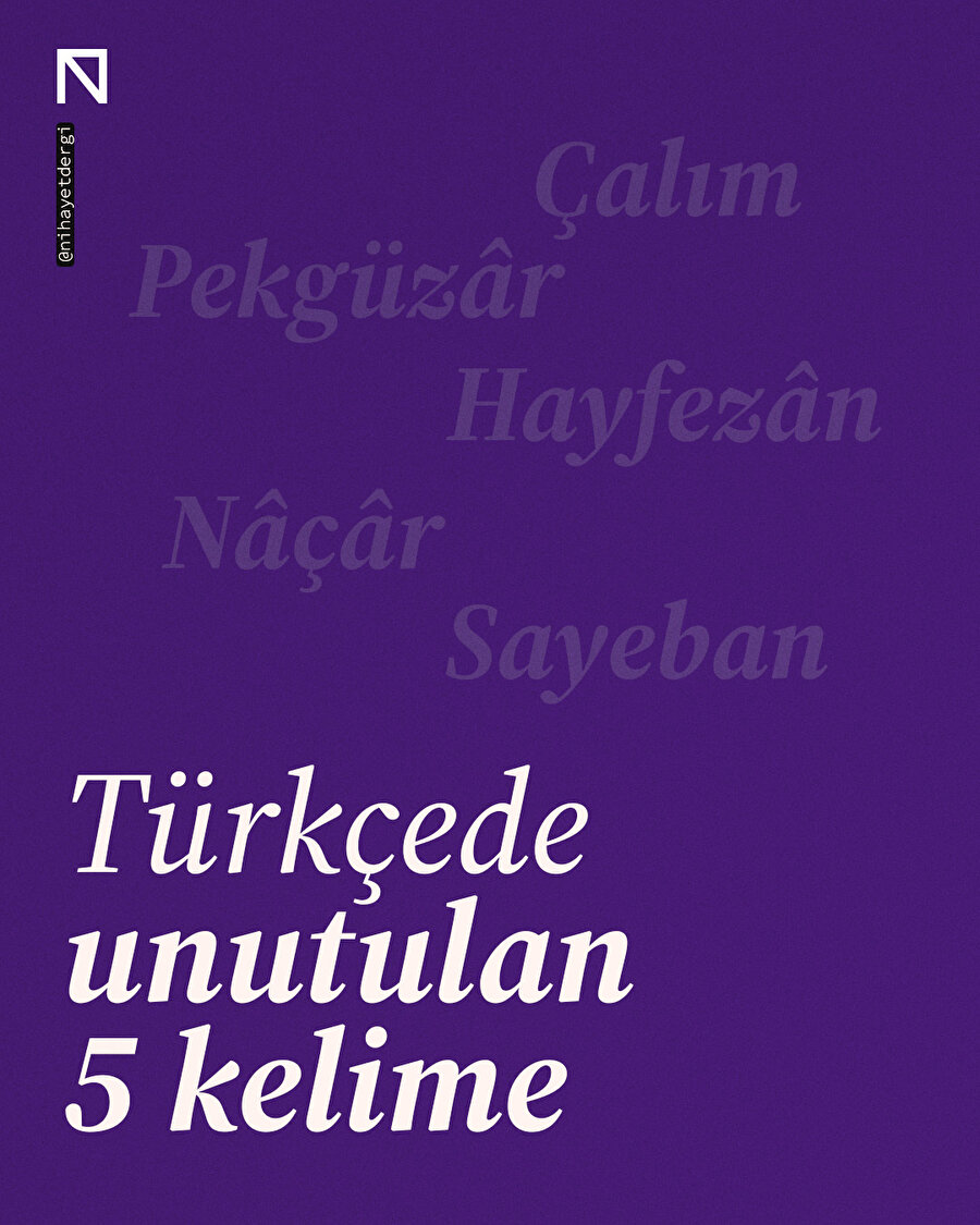Türkçede unutulan 5 kelime 📚