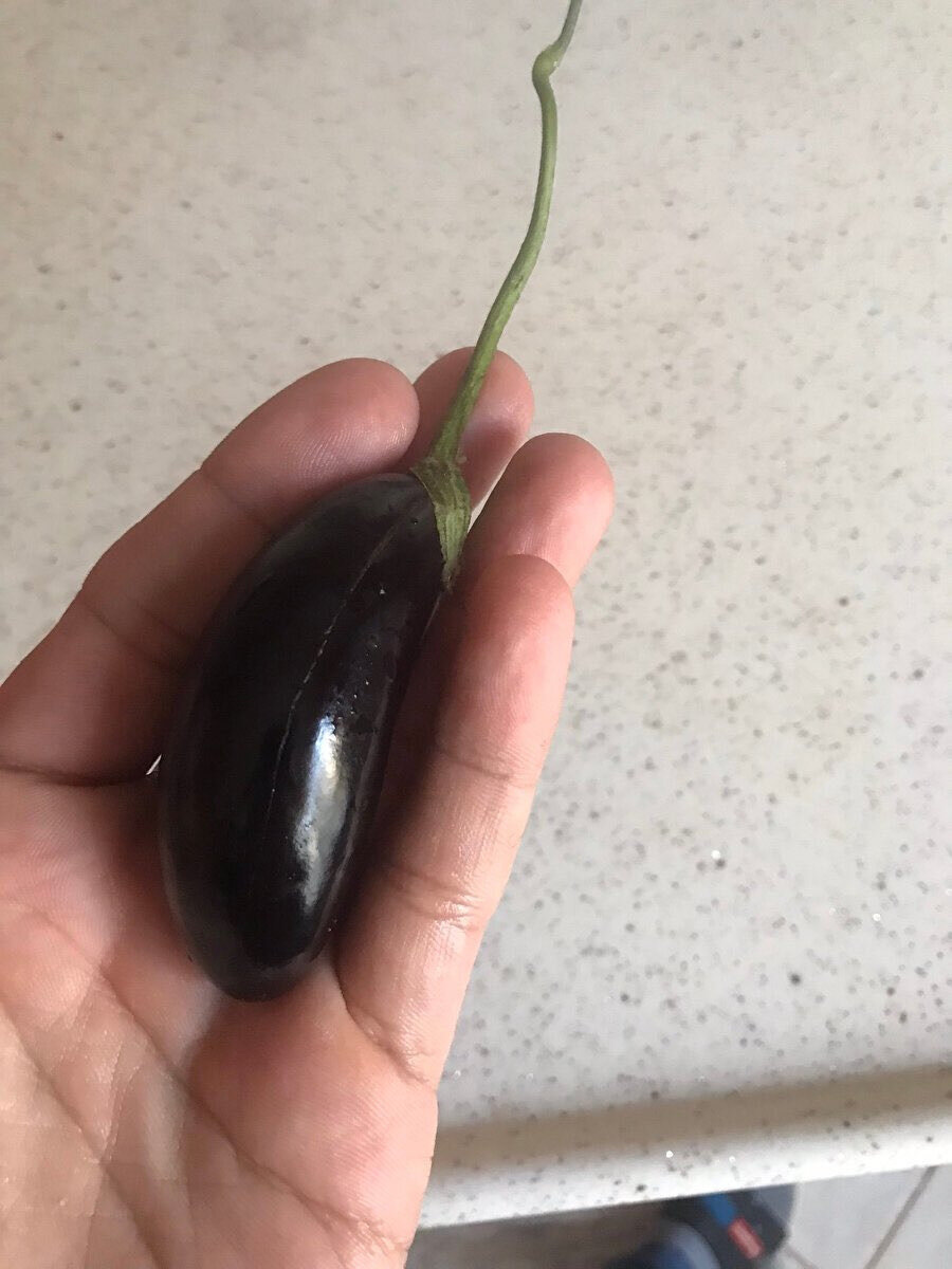 Birazdan "müezzin gözleri karardı" olacak