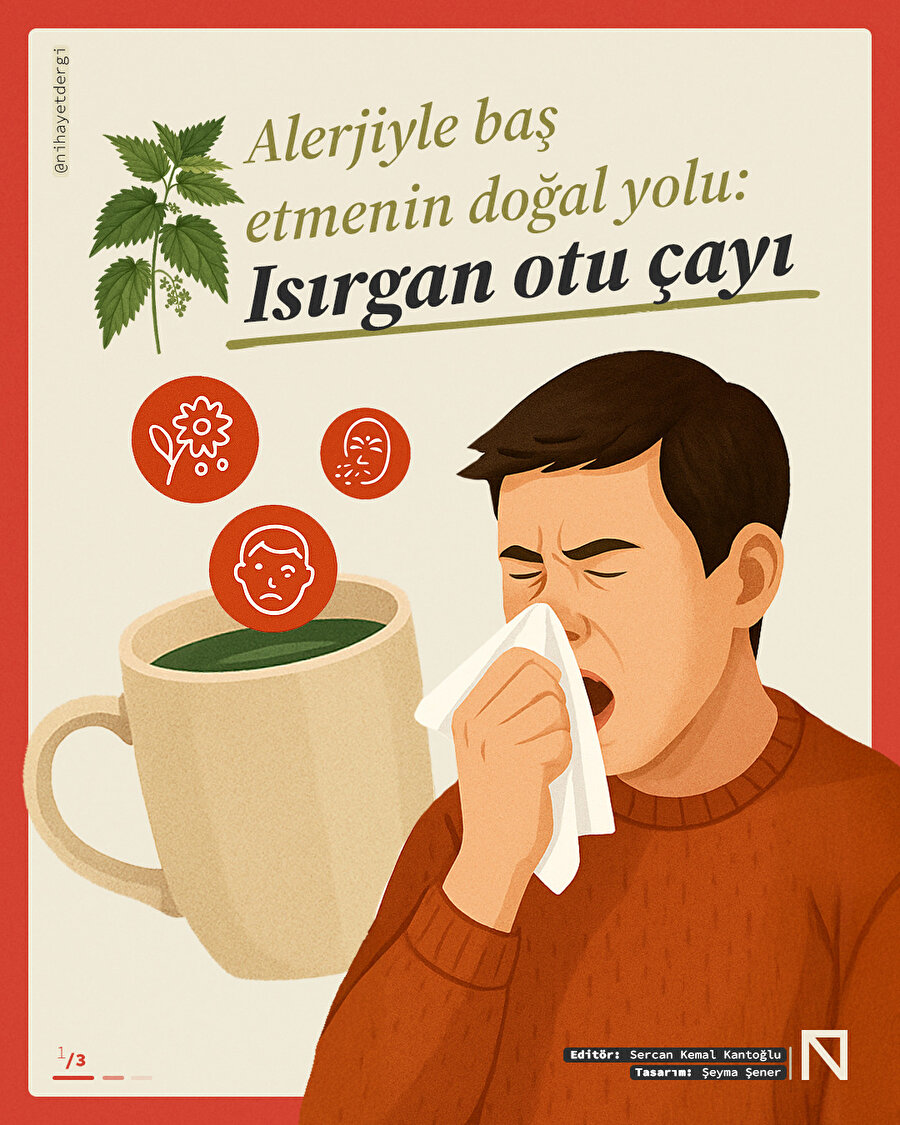 🤧 Doğal alerji savar