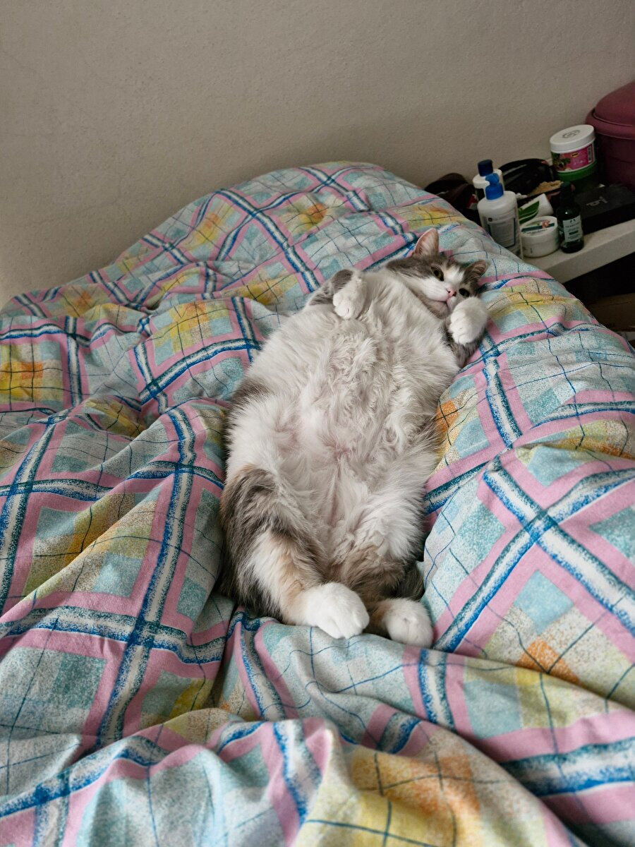 Hayalini kurduğum yaşam şekli