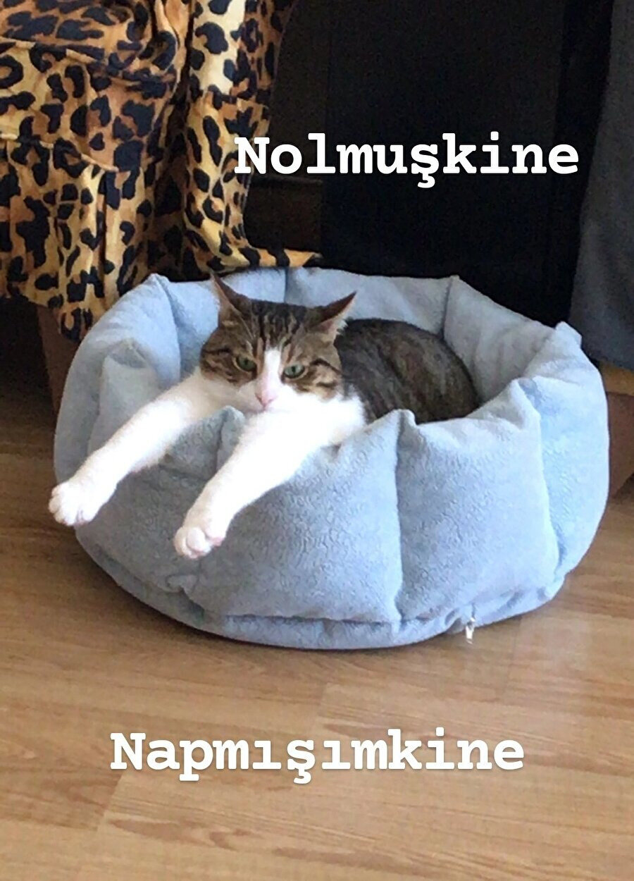 Konu ben olunca verdiğim tepkiler