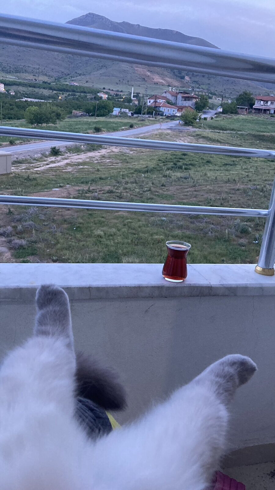 Şöyle bir keyif yapalım