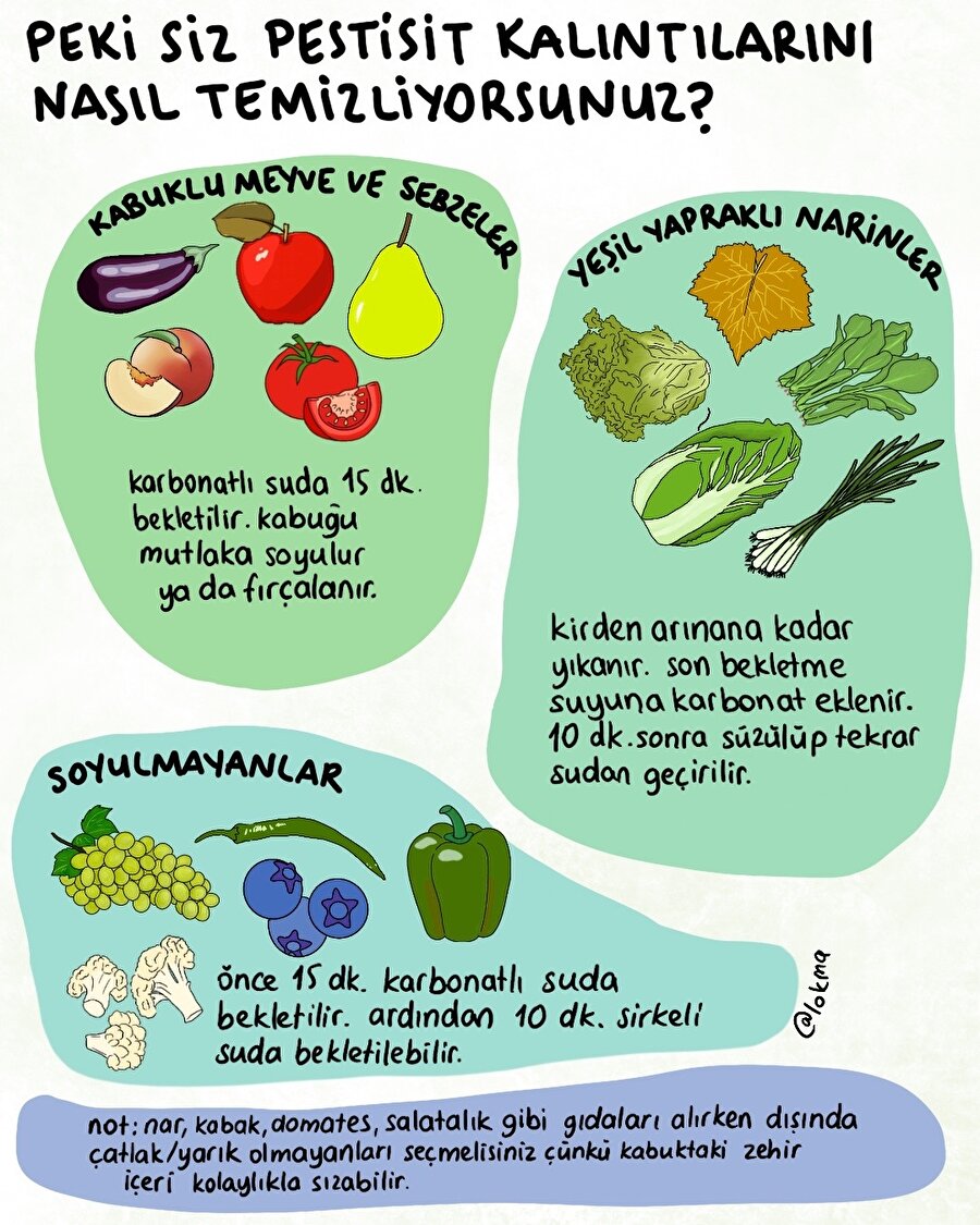 Siz pestisit kalıntılarını nasıl temizliyorsunuz?