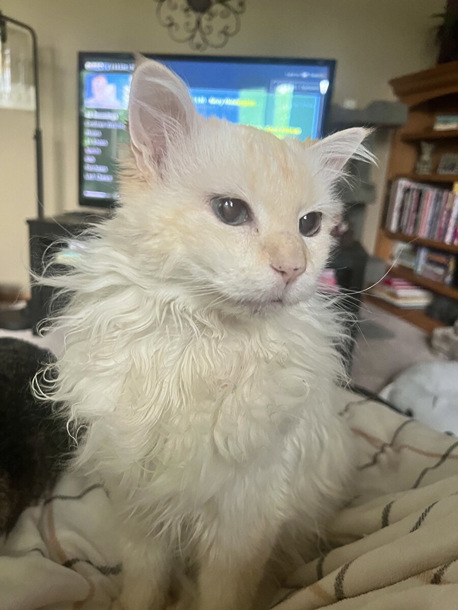 15 dk uyanıp uyanacağım dedikten sonra bizim sıfat