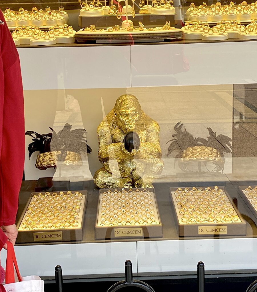 Evlenme teklifi eden goril gerçek değil 