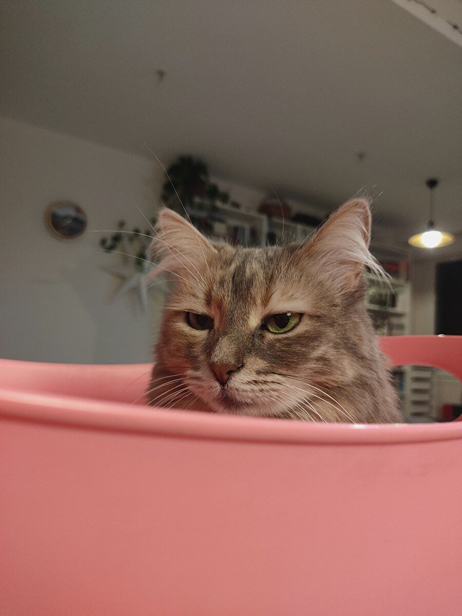 1 saatlik uykuyla işe geldik