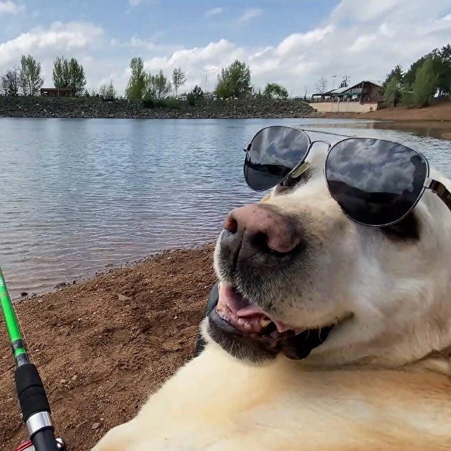 'Dost' emekliye ayrıldı