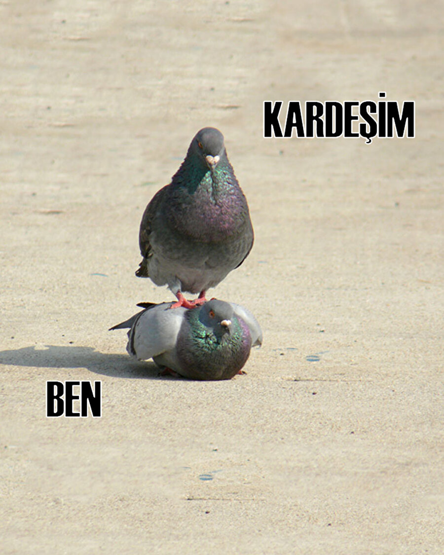 Kardeşlerin görevidir