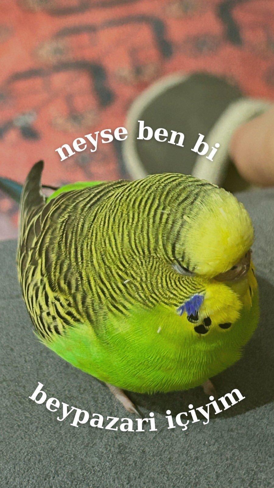 Yemek yedikten sonra hissedilen o şişkinlik