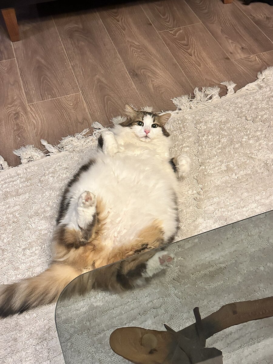 Babaannemin sardığı sarmalar