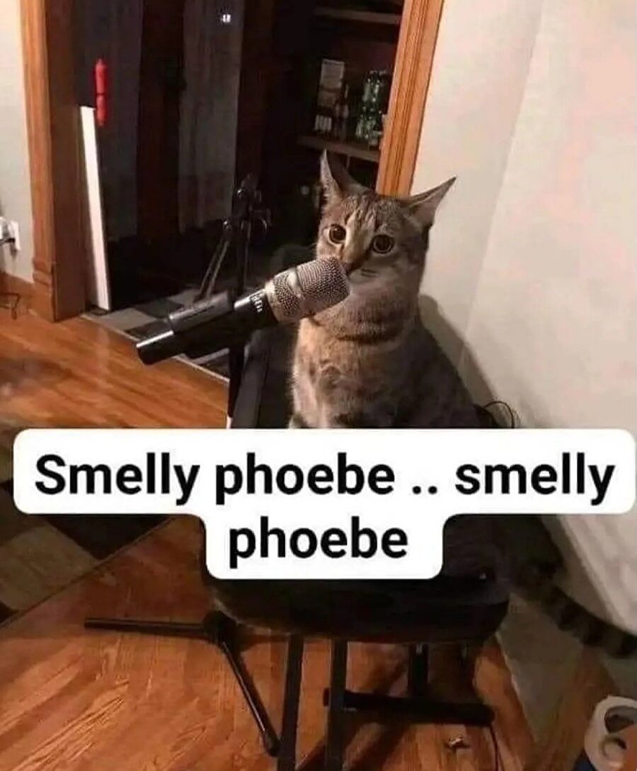 Yalnızca Friends izleyenlerin anlayacağı o görsel