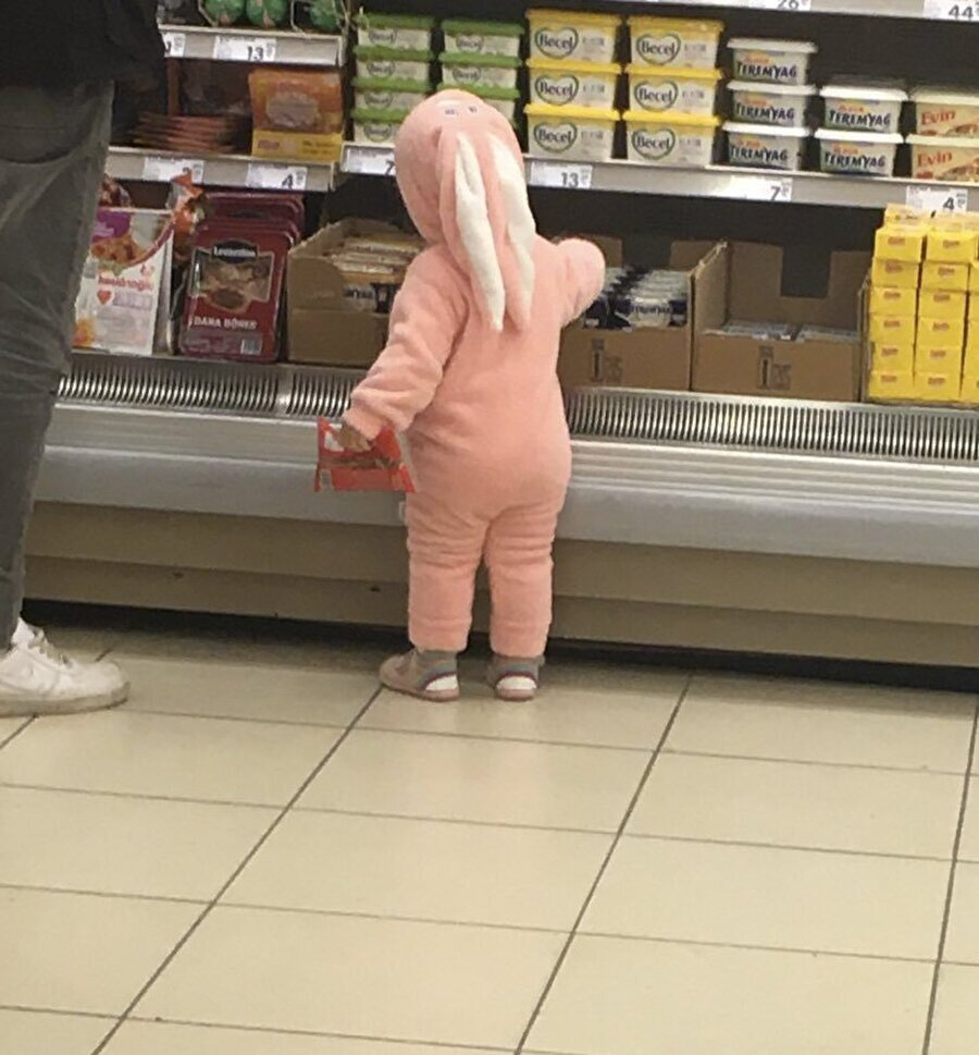 Bir tavşan gördük sanki