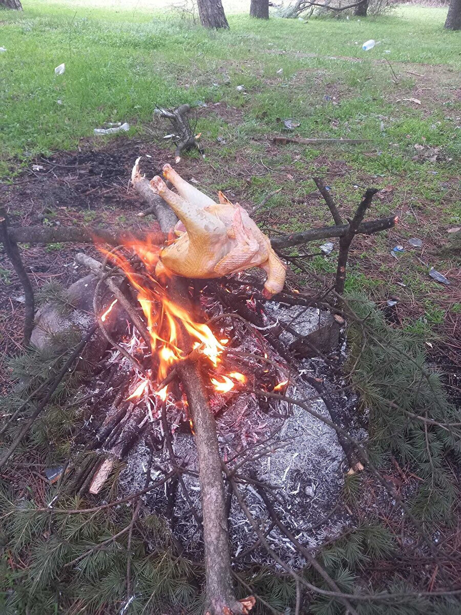 Pokemon mu avladın?