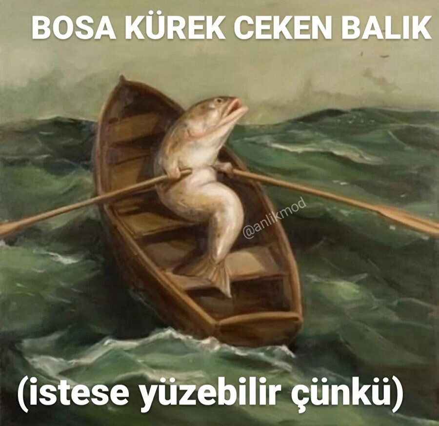 Bugün gördüğümüz en komik şey