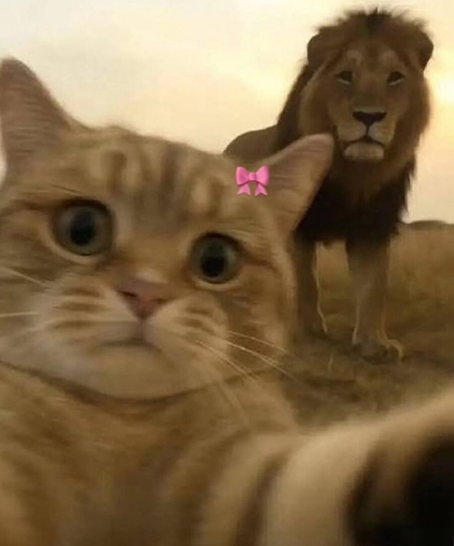 Evdekileri çileden çıkardıktan sonra kardeşim