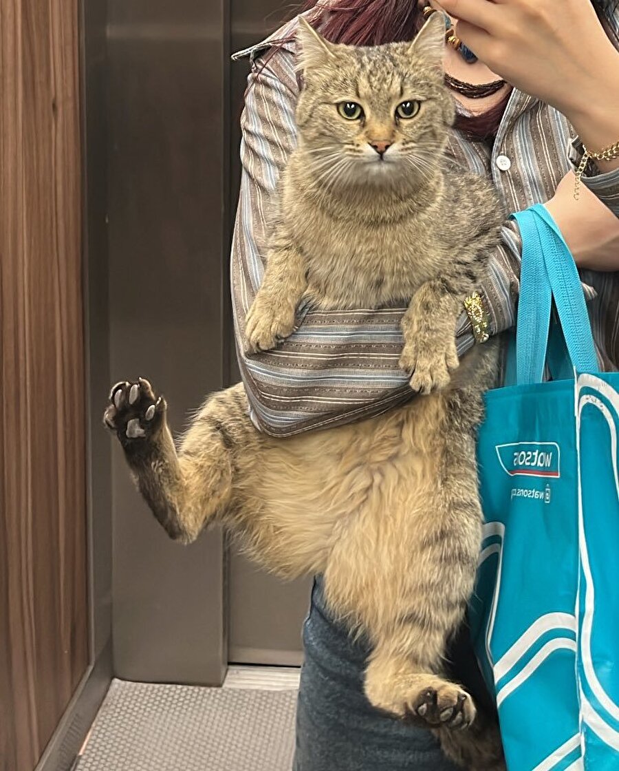 Çoğu insandan daha yakışıklı