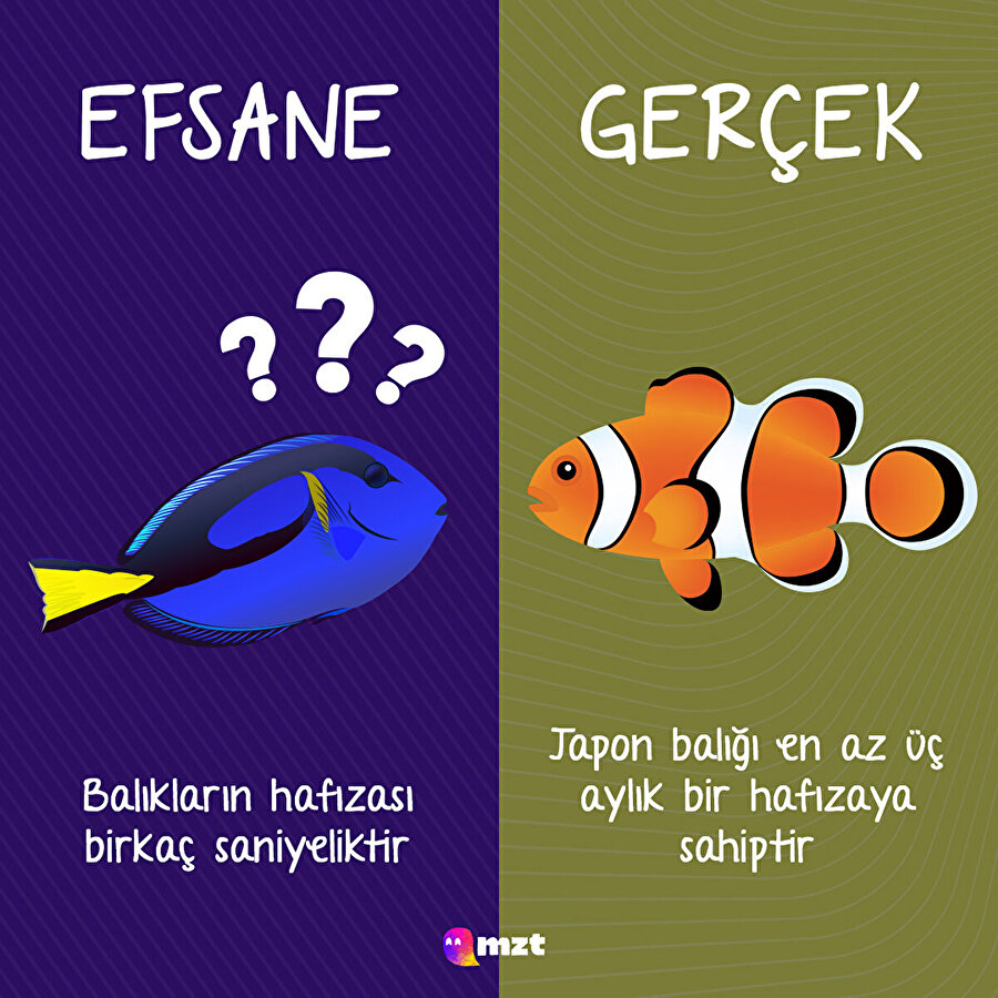 Yanlış bilinen efsaneler