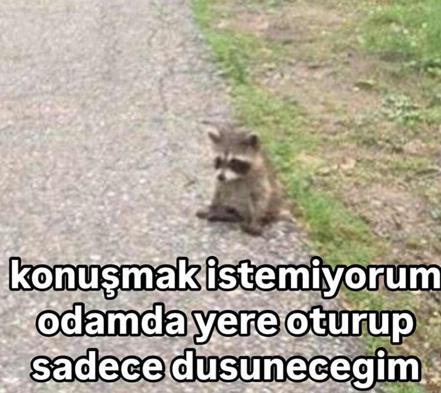 Bizim mentalin aldığı hal