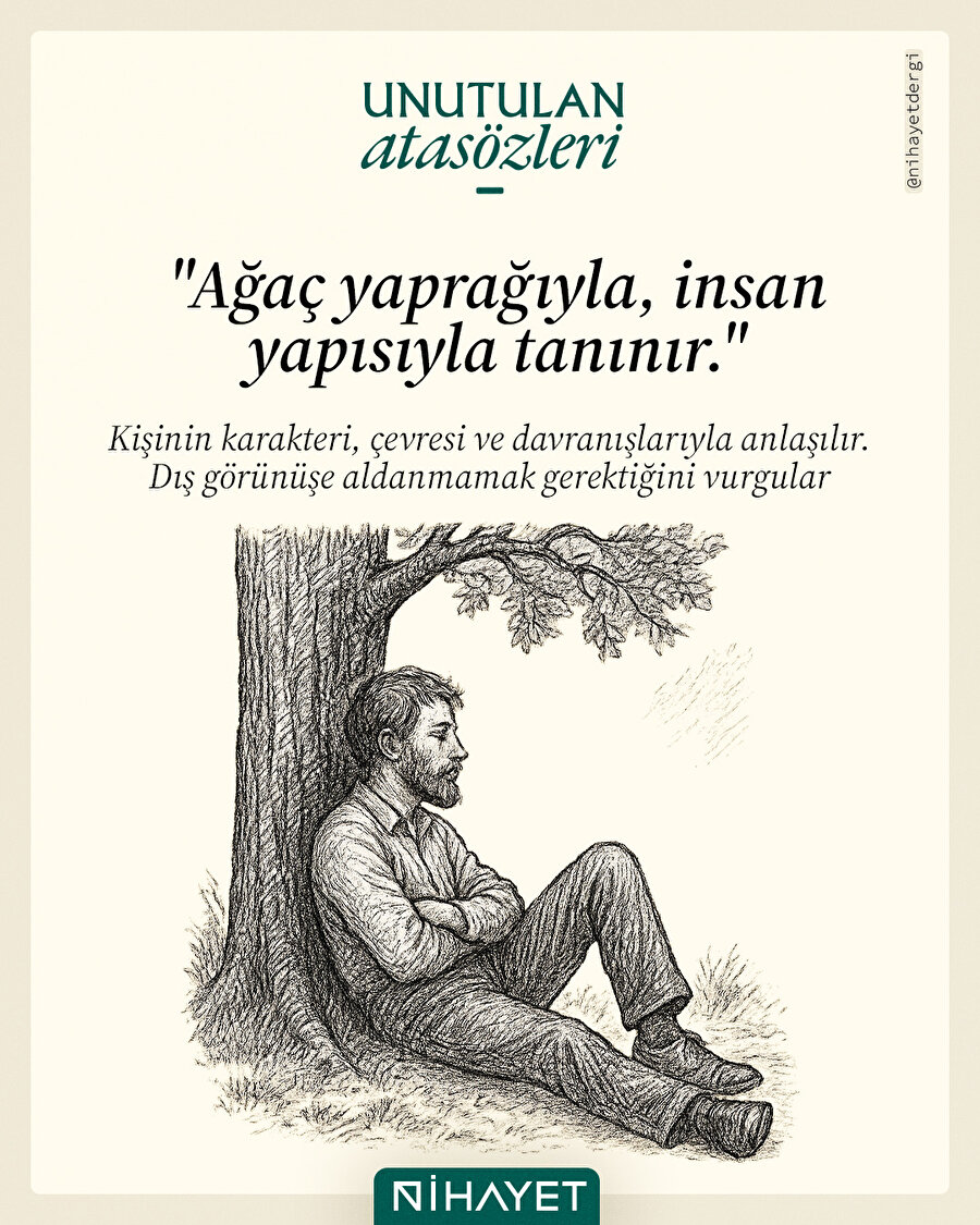 🌿 İnsan da ağaç gibidir…