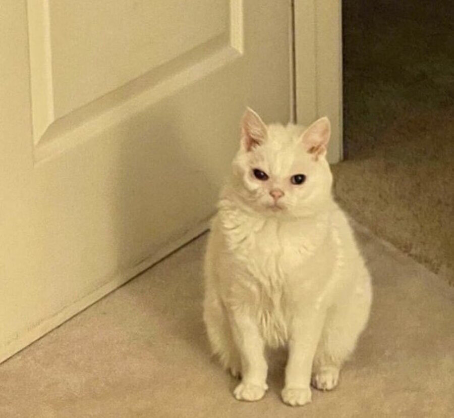 Gece boyu ağladıktan sonra bizim sıfat