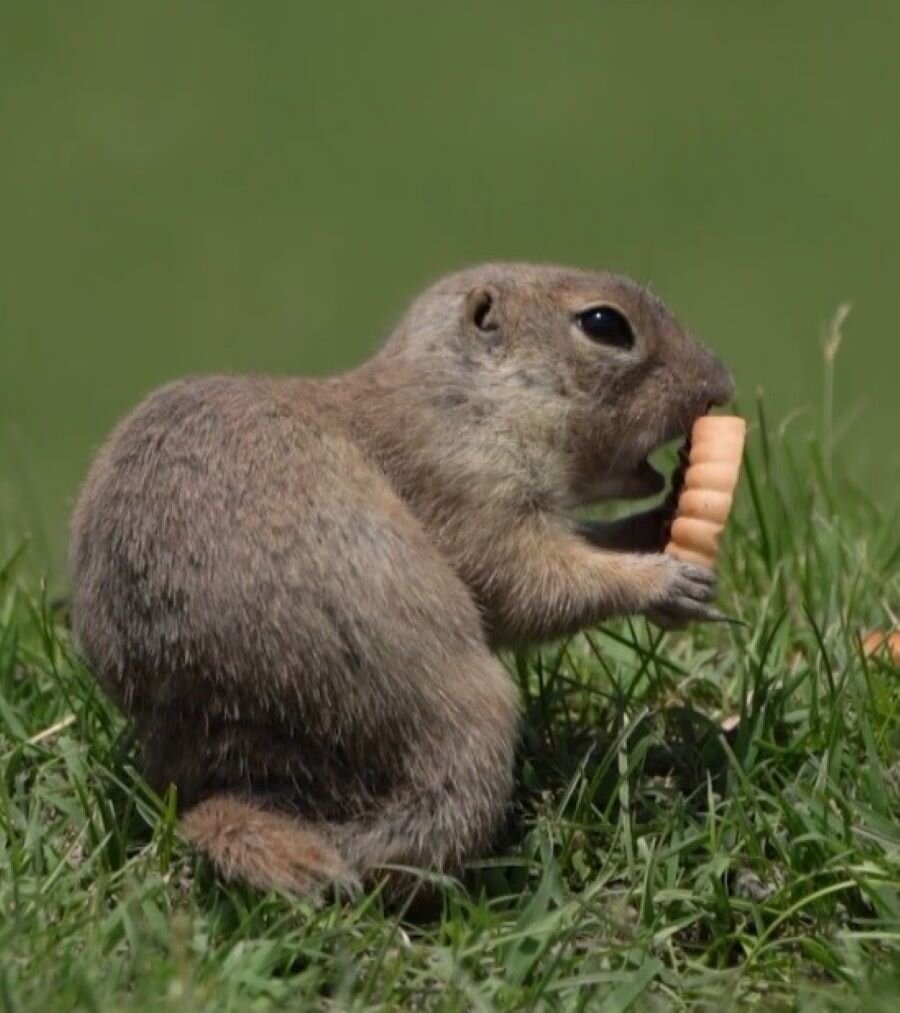 Yolculuğun birinci dakikası biz
