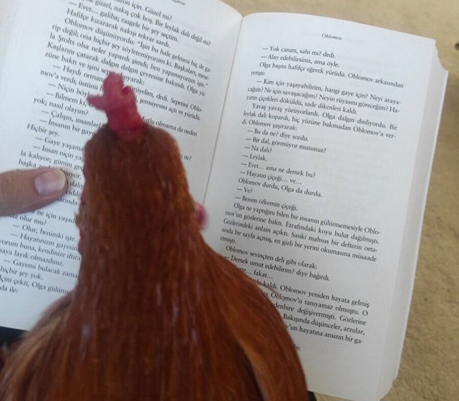 Sen okuyacaksın ve kendi pansumanını kendin yapacaksın