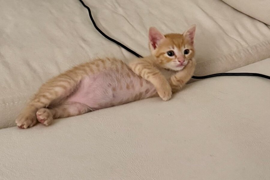 Eee anlatsana sen hangi mama türünü seversin?