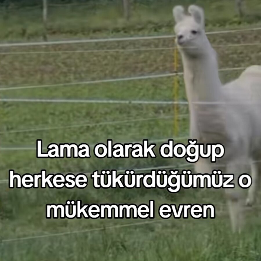 O olmak istiyoruz