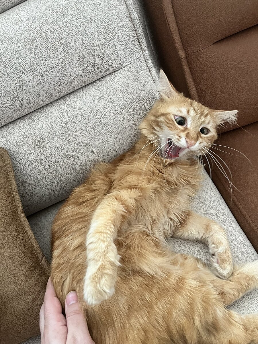 Beklemediğim anda biri dokununca yaşadığım irkilme