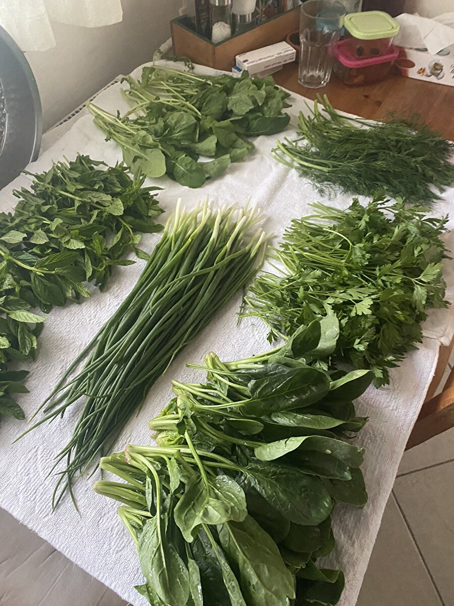 Annemin yeşillik sevgisi şu seviyede