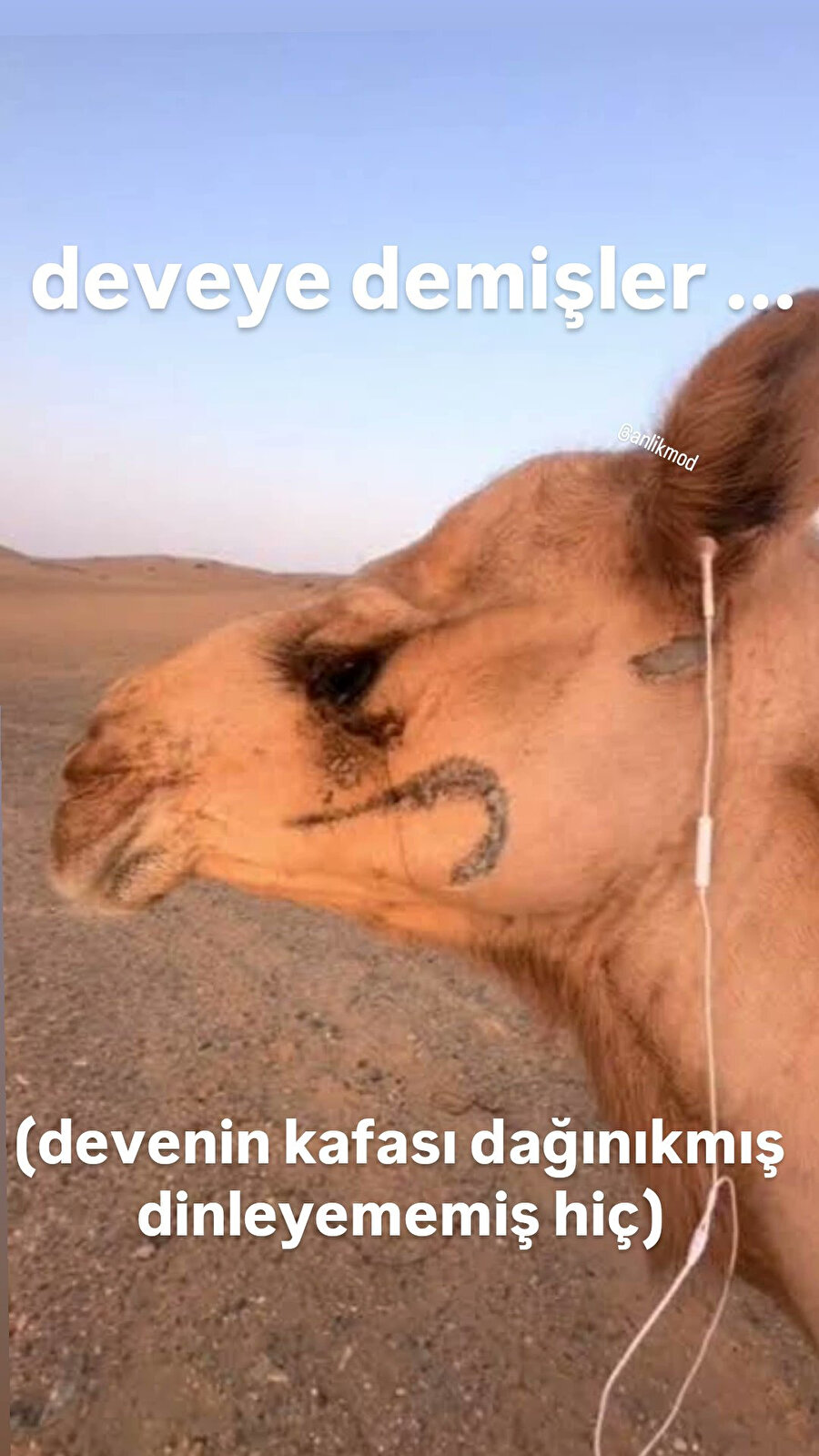 Deve olduğumuzu öğrendik