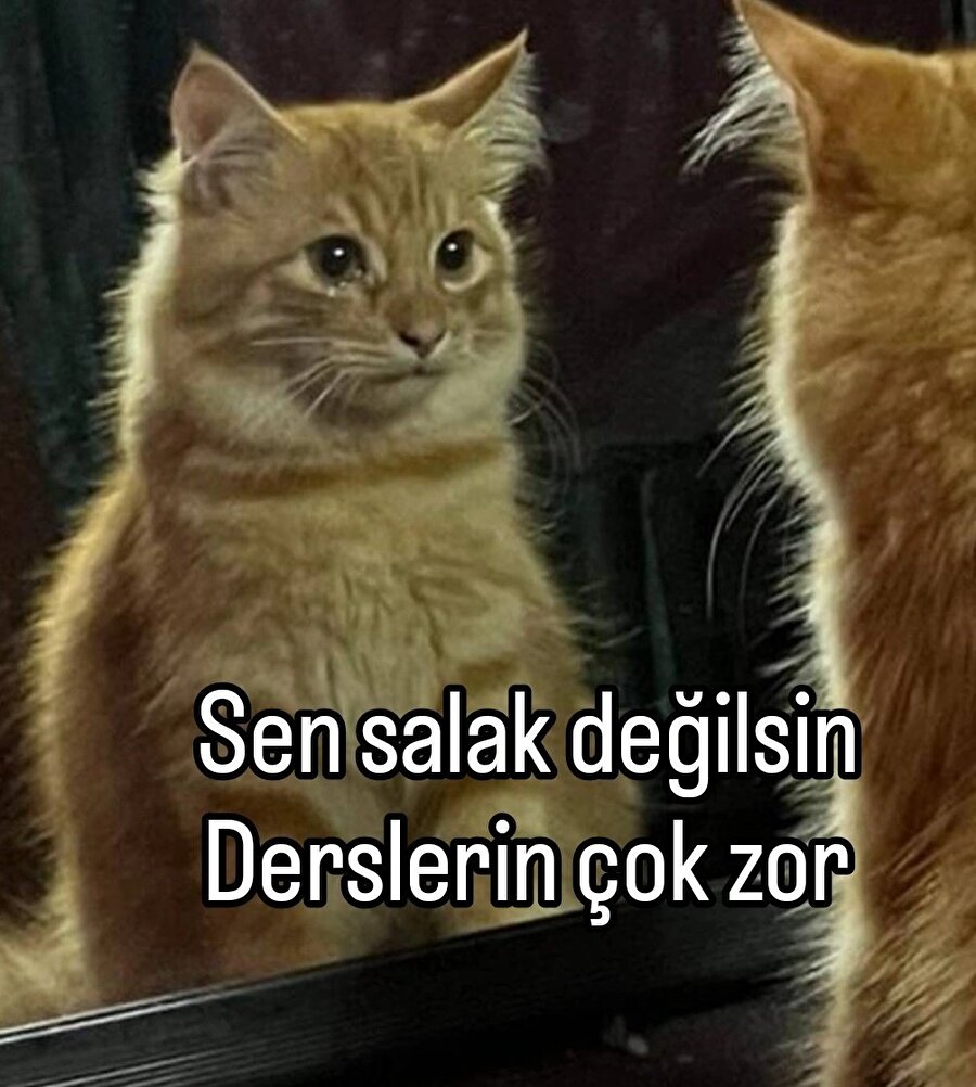 Bizim kendimizi avutma şeklimiz