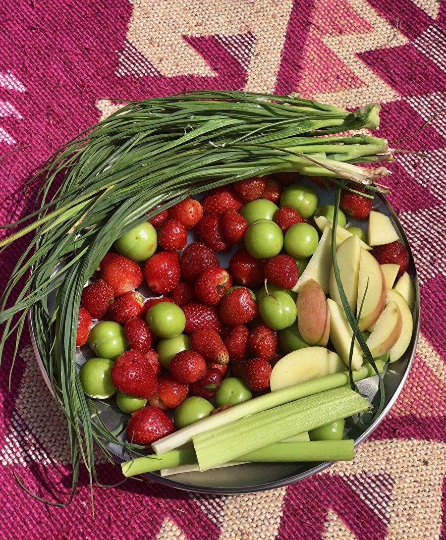Taze soğan: ben ne alaka 