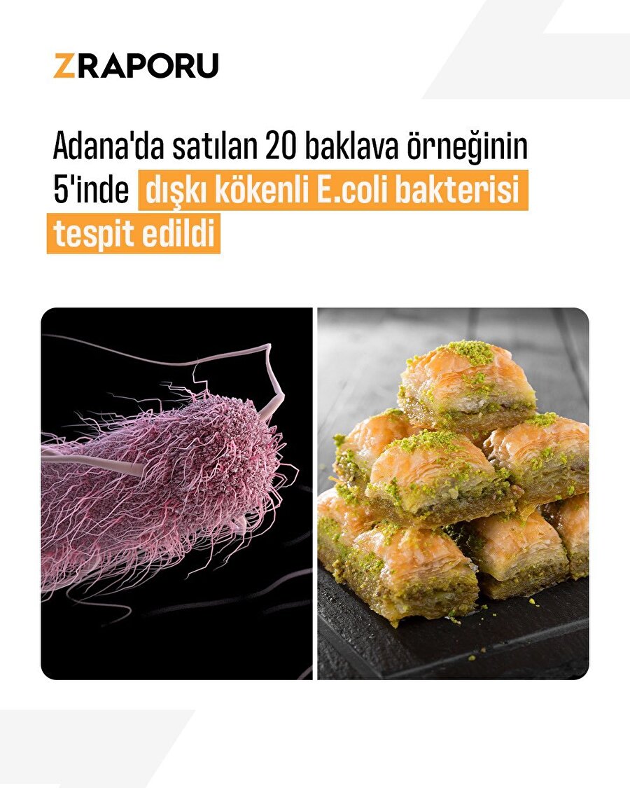 20 baklavanın 5'inde ölümcül bakteri çıktı