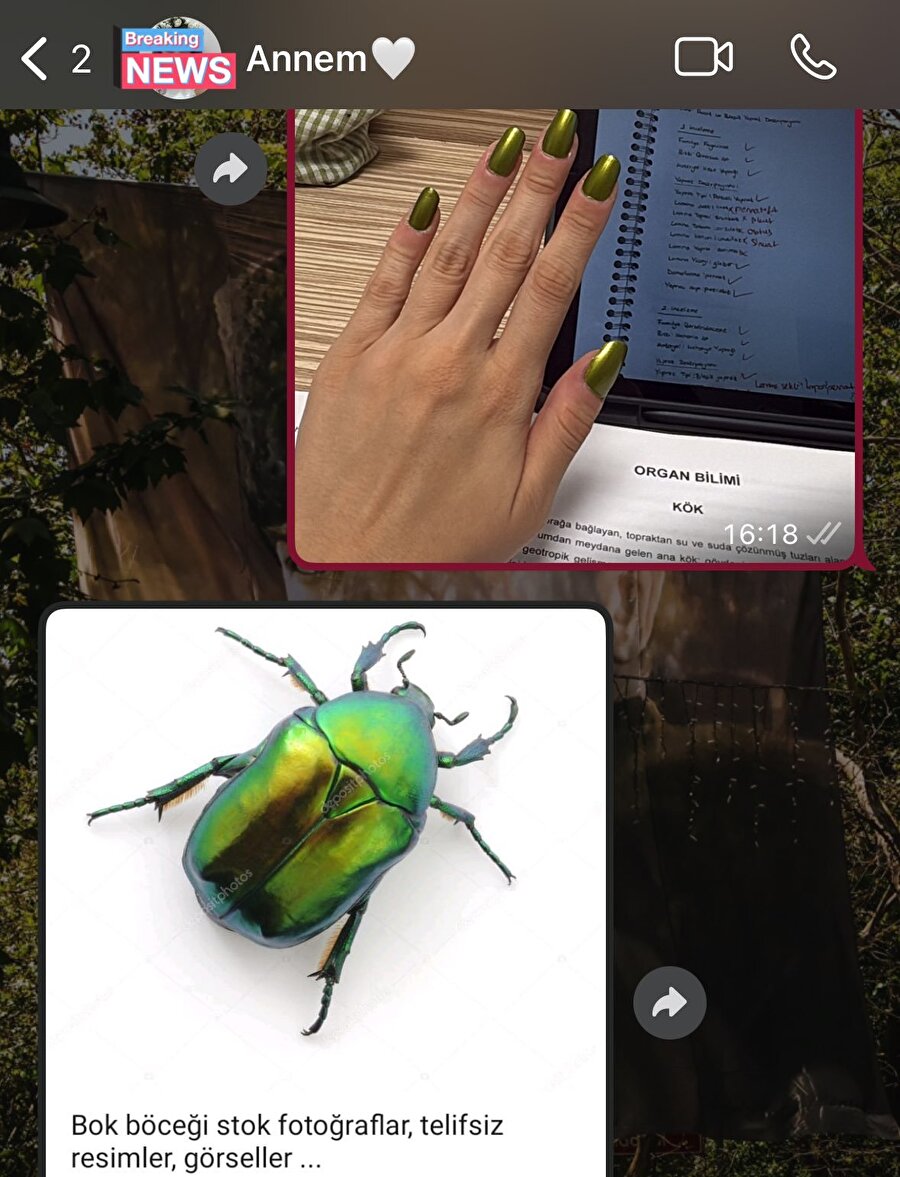 Bir fark göremiyoruz