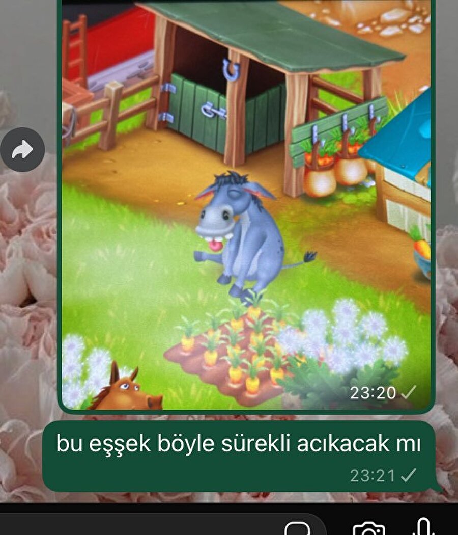 Midemize karşı