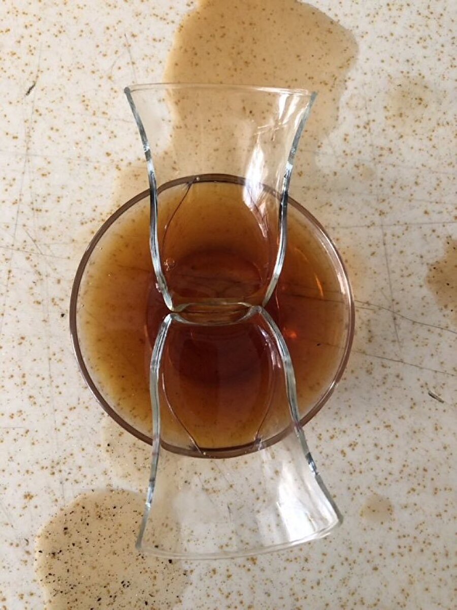 Zarif... kırılırken bile