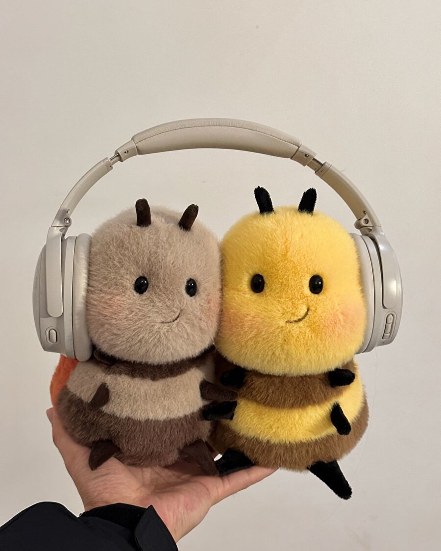 Arkadaşımla sevdiğim şarkı başlamıştır