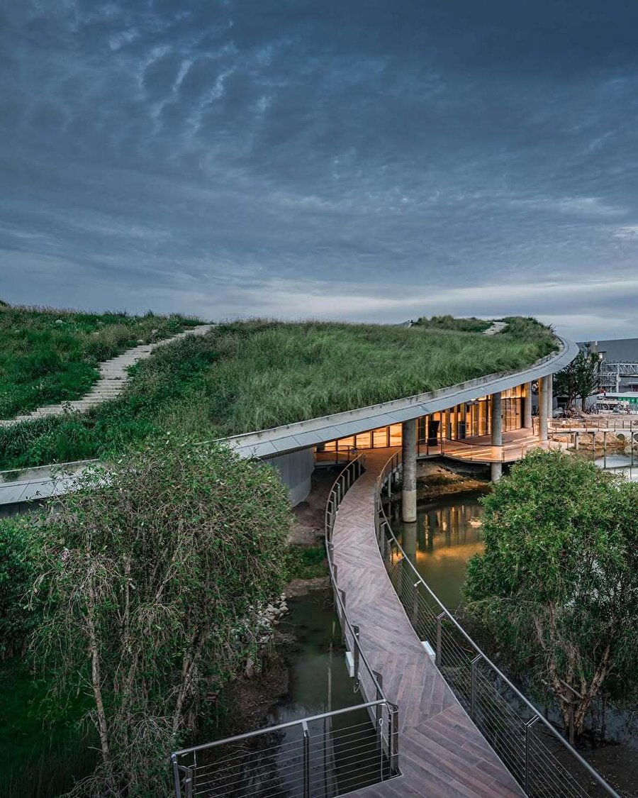 Doğayla birleşen tasarımlar: Center of Excellence for Forest Conservation ✨