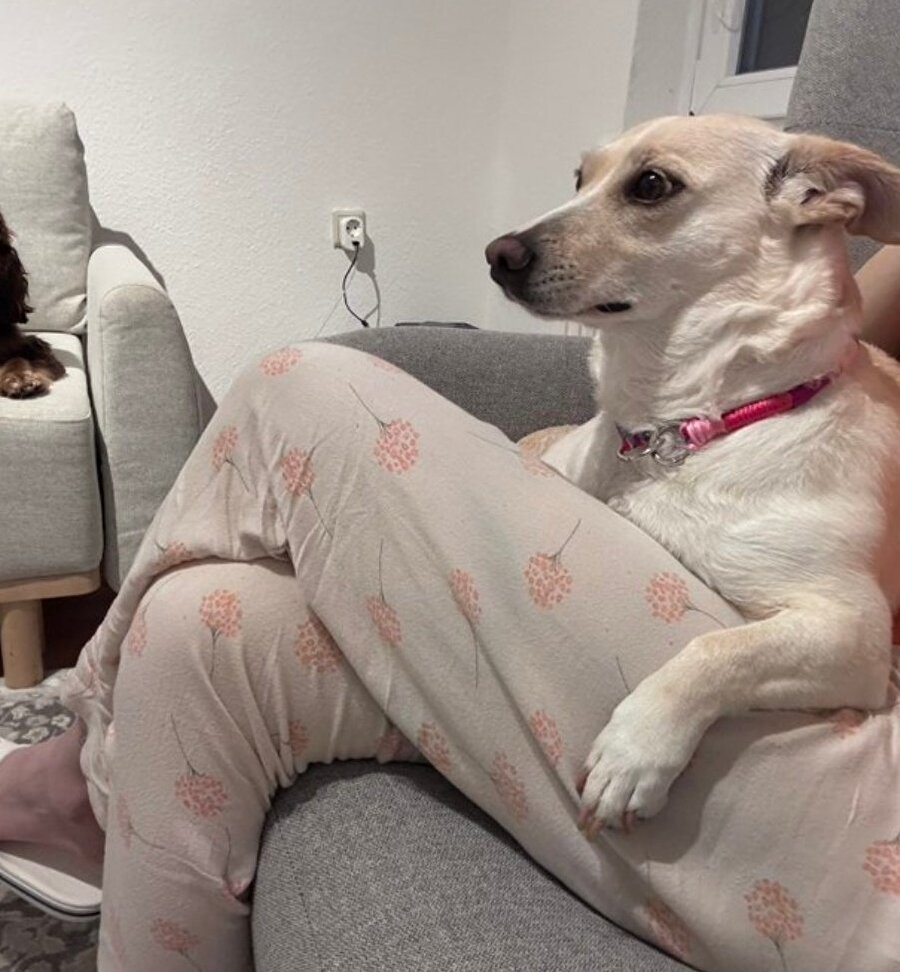 Dünyanın en iyi göz yanılması