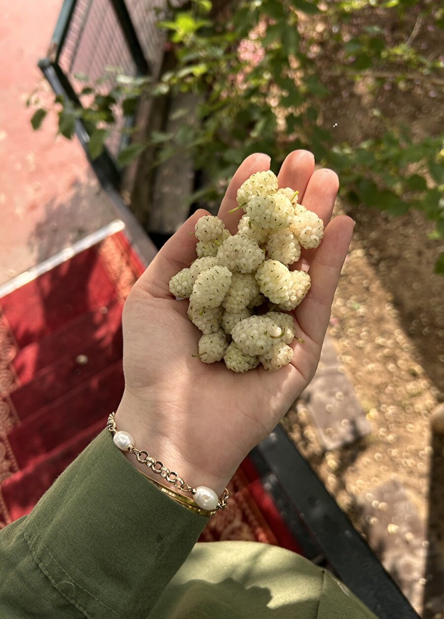 Dutmasaydım düşüyordun