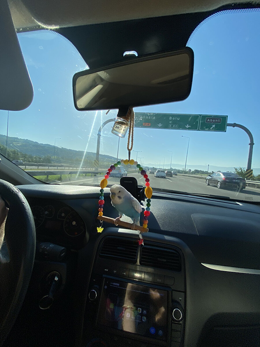 500 metre sonra sola dön babacık