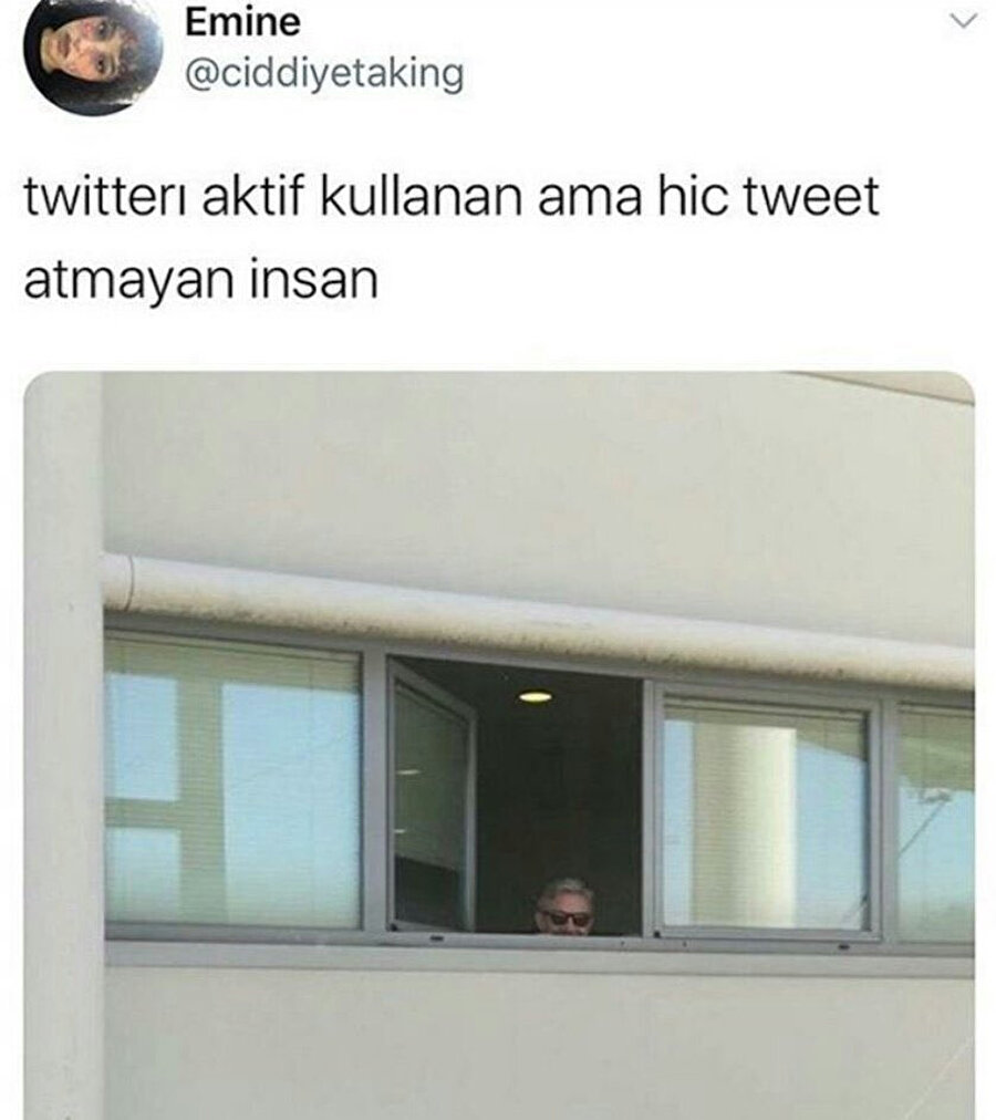 Tam olarak budur