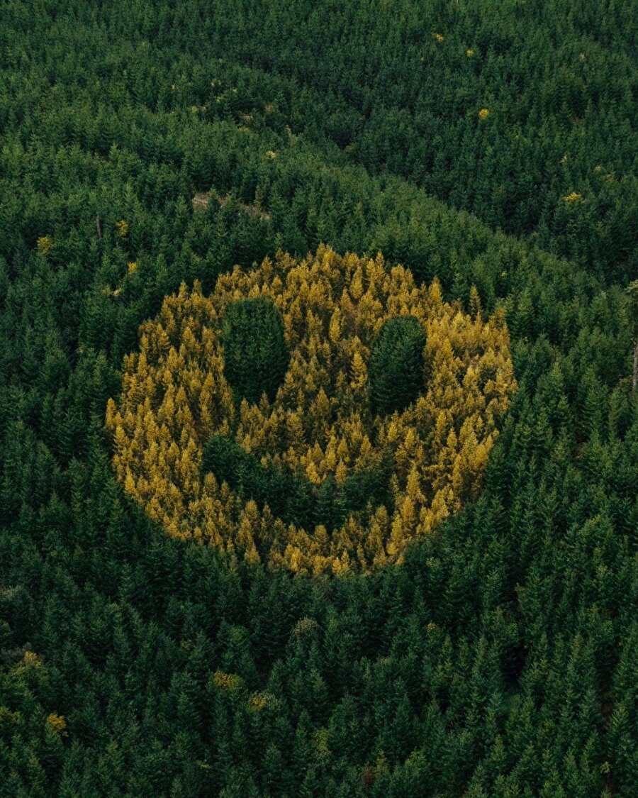 Yamaçta belirginleşen dev bir gülen yüz🙂