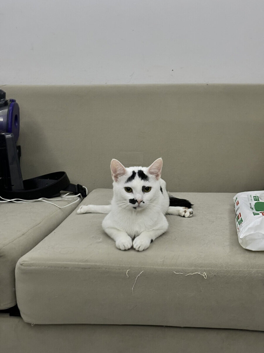 Gün boyu sırtım neden ağrıyor diye düşündükten sonra benim oturma şekli