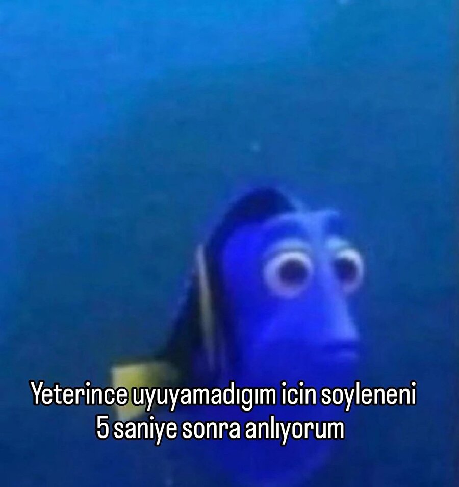 Budur
